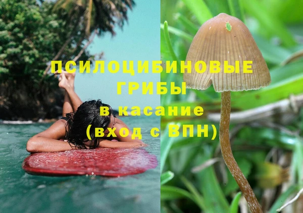 герыч Алексин