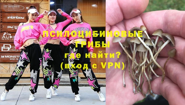 герыч Алексин