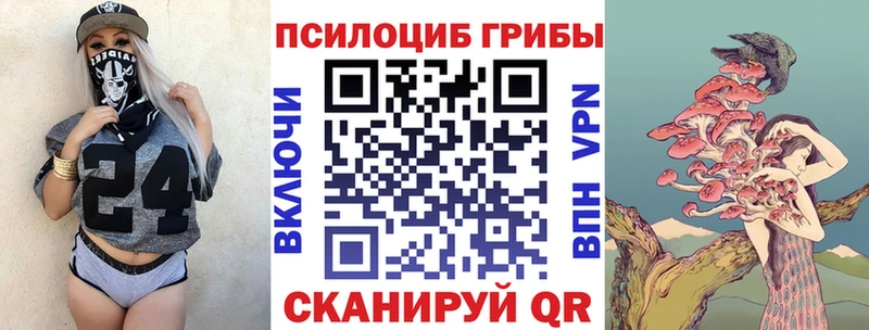 Псилоцибиновые грибы Psilocybine cubensis  хочу   мега сайт  Псков 
